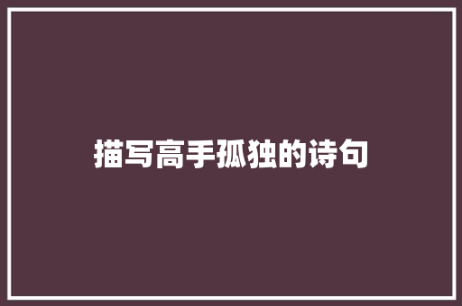 描写高手孤独的诗句