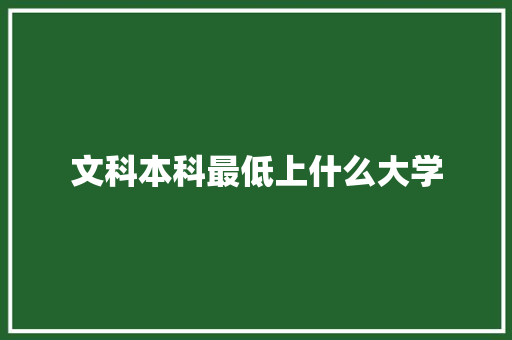 文科本科最低上什么大学