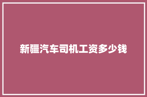 新疆汽车司机工资多少钱