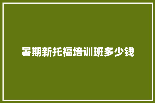 暑期新托福培训班多少钱