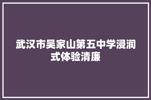 武汉市吴家山第五中学浸润式体验清廉