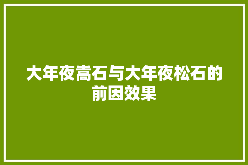 大年夜嵩石与大年夜松石的前因效果