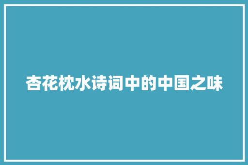 杏花枕水诗词中的中国之味