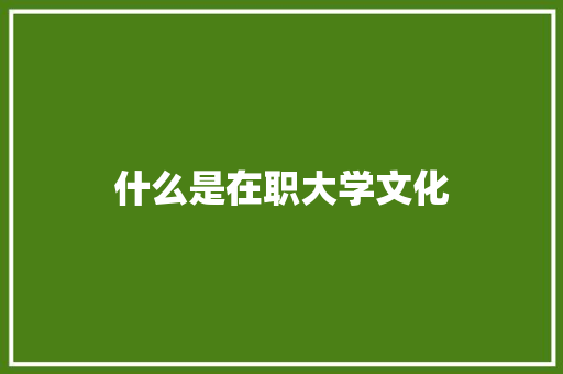 什么是在职大学文化