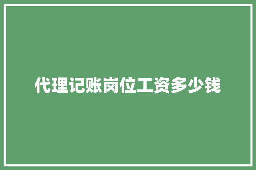 代理记账岗位工资多少钱