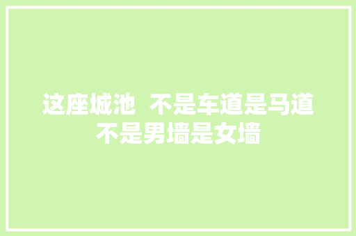 这座城池  不是车道是马道不是男墙是女墙