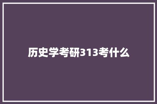 历史学考研313考什么