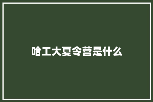 哈工大夏令营是什么
