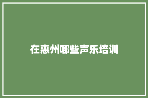 在惠州哪些声乐培训