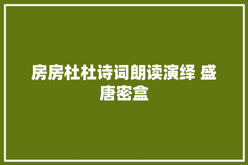 房房杜杜诗词朗读演绎 盛唐密盒