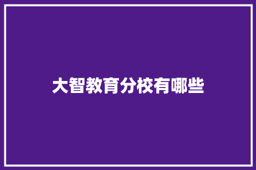 大智教育分校有哪些