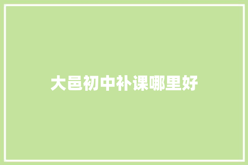 大邑初中补课哪里好