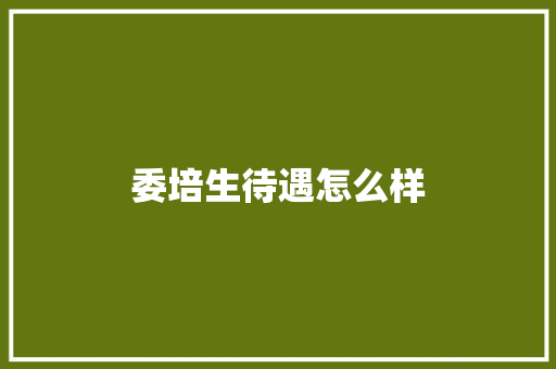 委培生待遇怎么样
