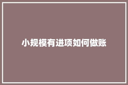 小规模有进项如何做账