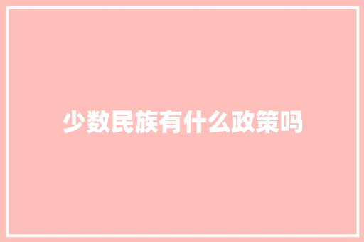 少数民族有什么政策吗