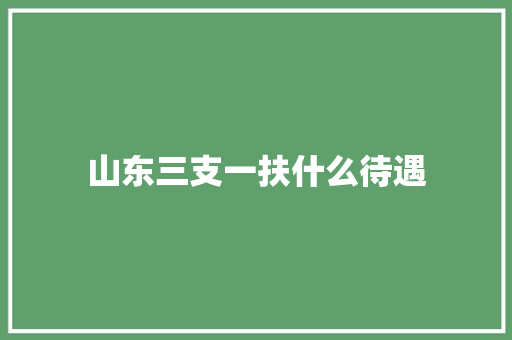山东三支一扶什么待遇