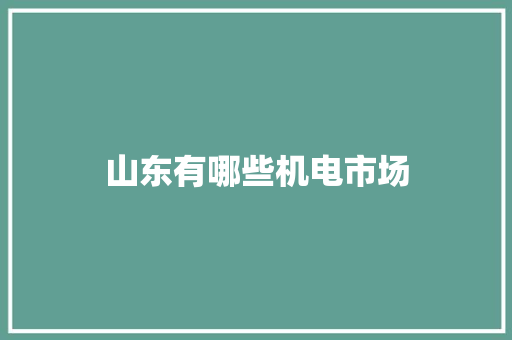 山东有哪些机电市场