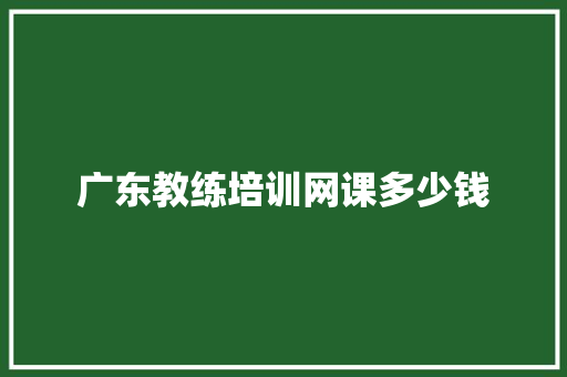 广东教练培训网课多少钱