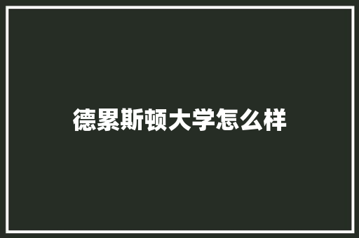 德累斯顿大学怎么样