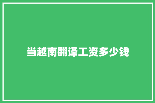 当越南翻译工资多少钱