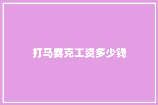 打马赛克工资多少钱