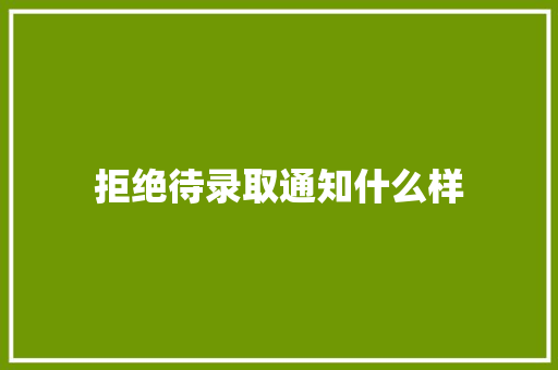 拒绝待录取通知什么样