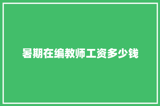暑期在编教师工资多少钱