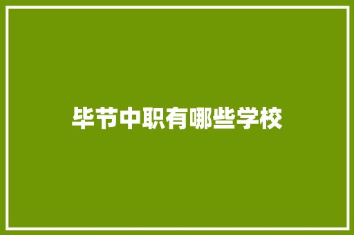 毕节中职有哪些学校