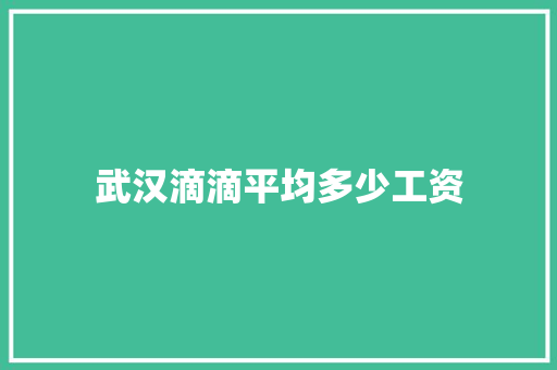 武汉滴滴平均多少工资