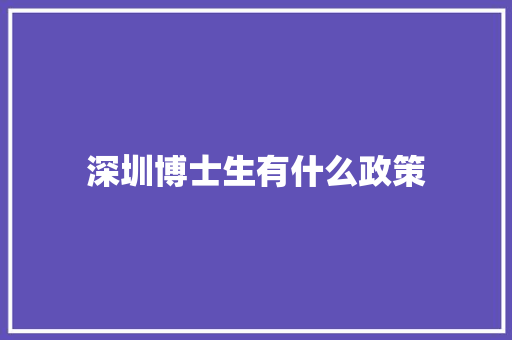 深圳博士生有什么政策