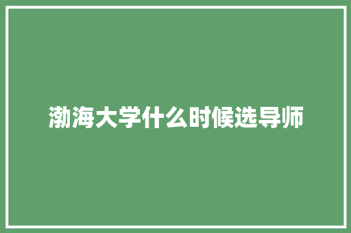 渤海大学什么时候选导师
