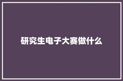 研究生电子大赛做什么