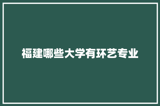 福建哪些大学有环艺专业