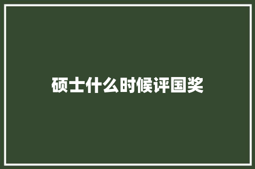 硕士什么时候评国奖