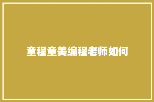 童程童美编程老师如何