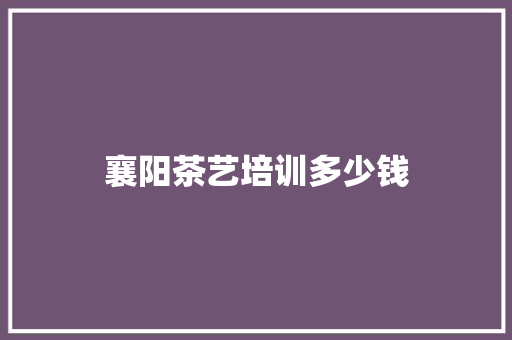 襄阳茶艺培训多少钱