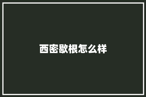 西密歇根怎么样