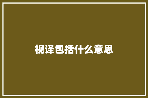 视译包括什么意思