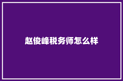 赵俊峰税务师怎么样