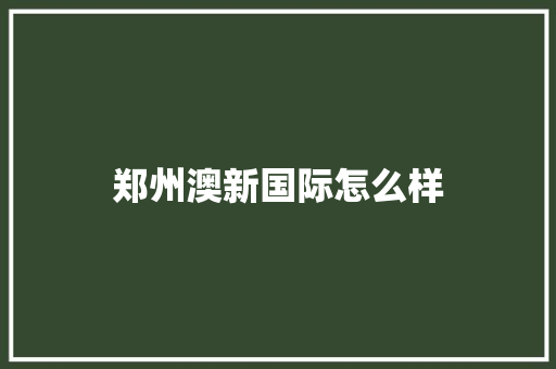 郑州澳新国际怎么样