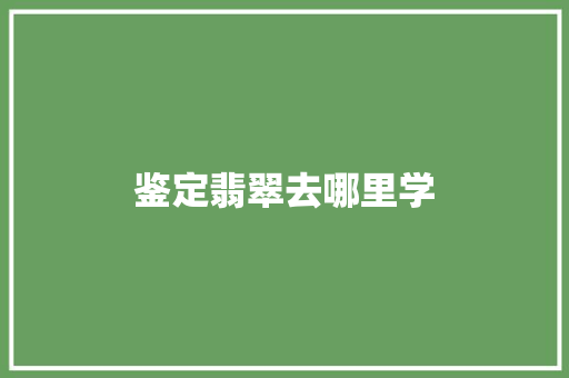 鉴定翡翠去哪里学
