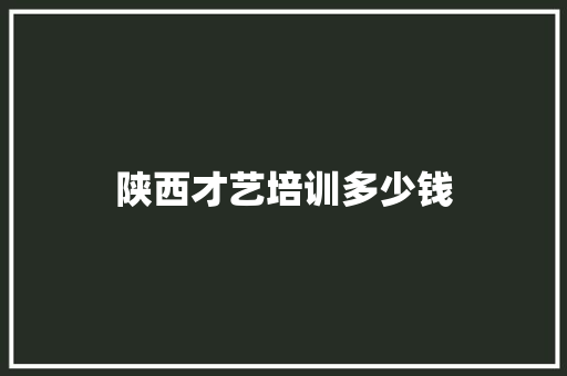 陕西才艺培训多少钱