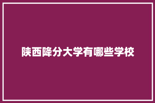 陕西降分大学有哪些学校