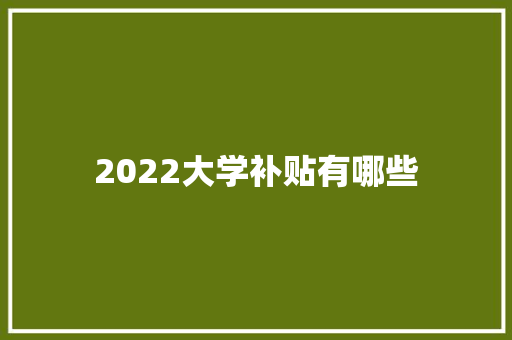 2022大学补贴有哪些