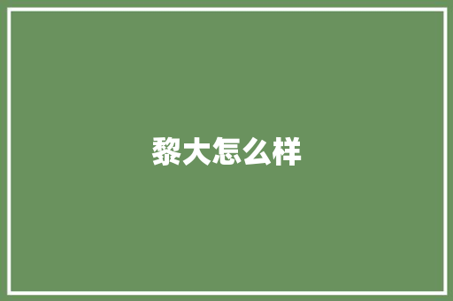 黎大怎么样
