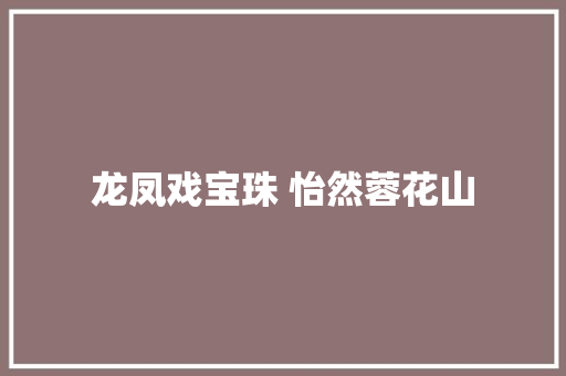 龙凤戏宝珠 怡然蓉花山