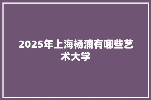 2025年上海杨浦有哪些艺术大学