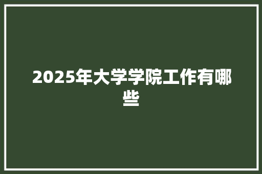 2025年大学学院工作有哪些