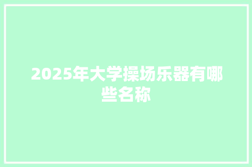2025年大学操场乐器有哪些名称