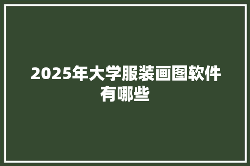 2025年大学服装画图软件有哪些